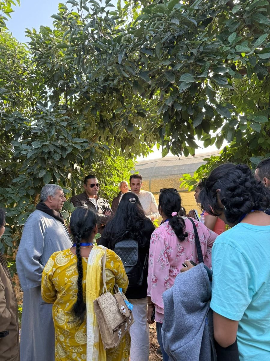 Our farm team walking through the orchard